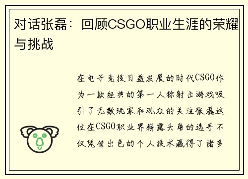 对话张磊：回顾CSGO职业生涯的荣耀与挑战
